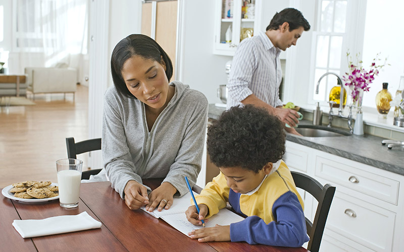 What Does a Whole-House Air Cleaner Offer Your Family?